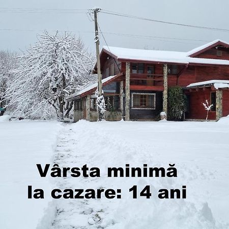 Casa Bunicului Vistisoara Exterior foto