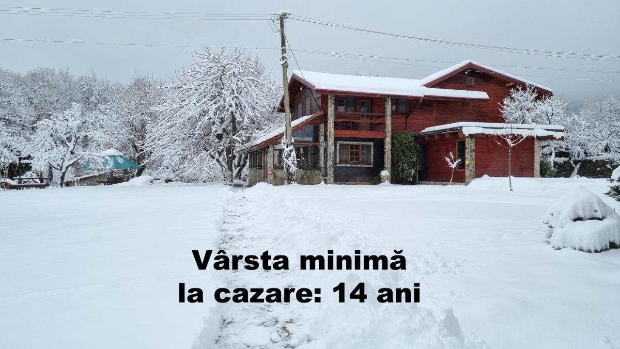 Casa Bunicului Vistisoara Exterior foto