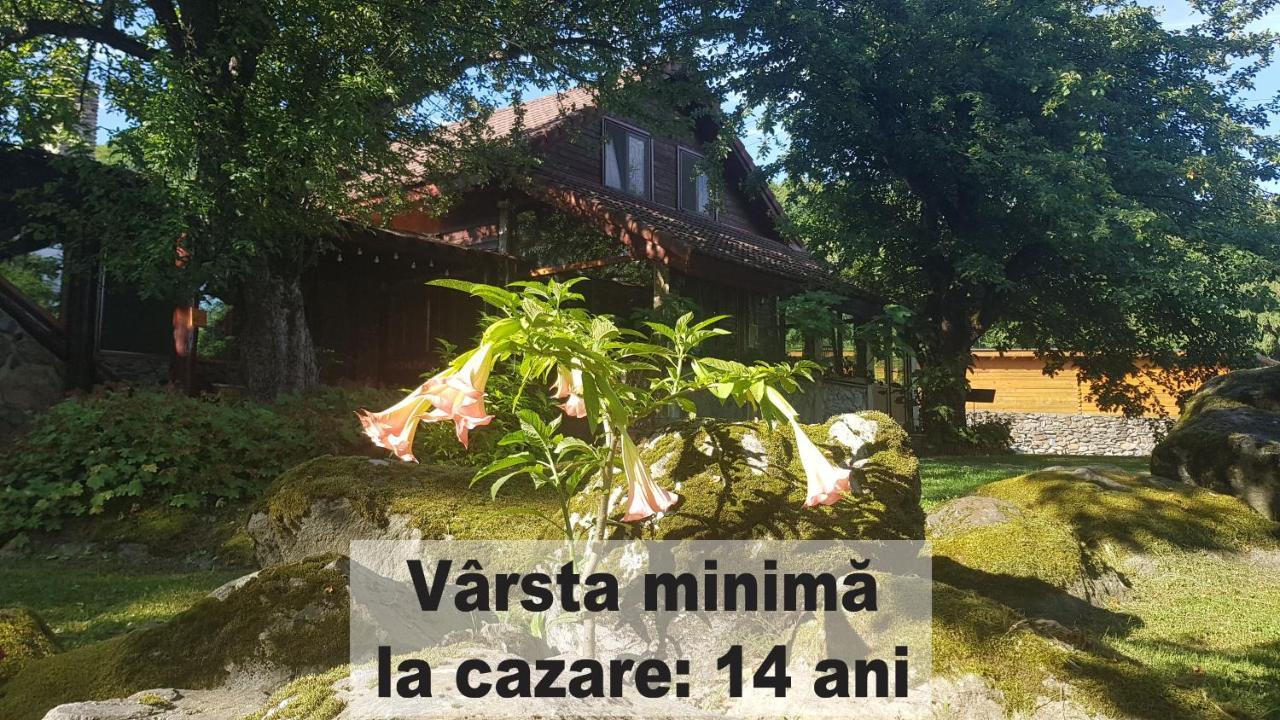 Casa Bunicului Vistisoara Exterior foto