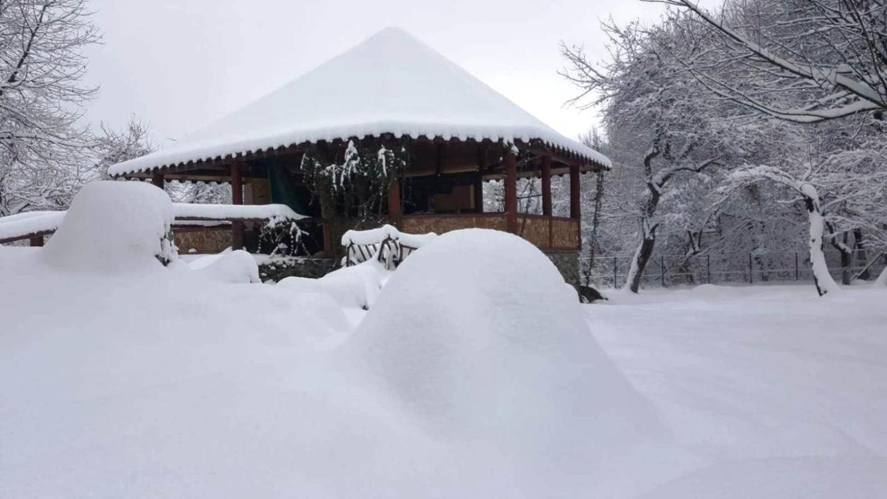 Casa Bunicului Vistisoara Exterior foto