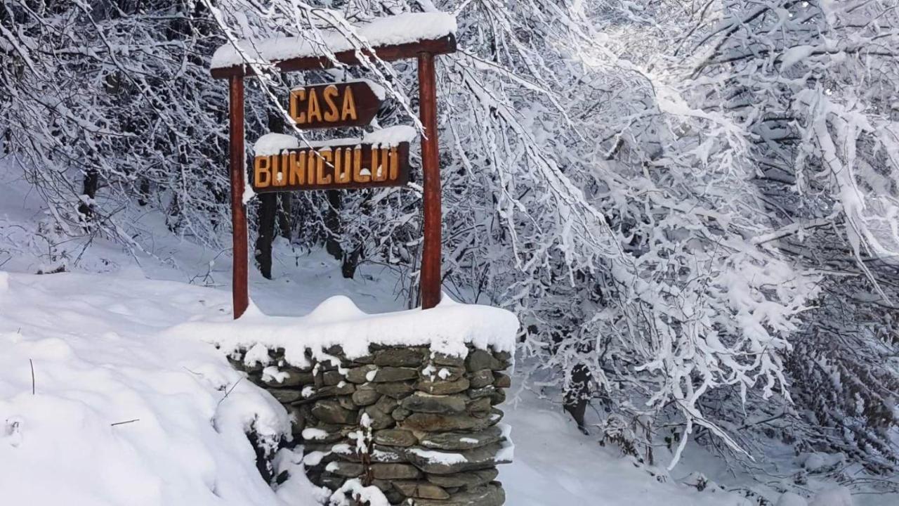Casa Bunicului Vistisoara Exterior foto