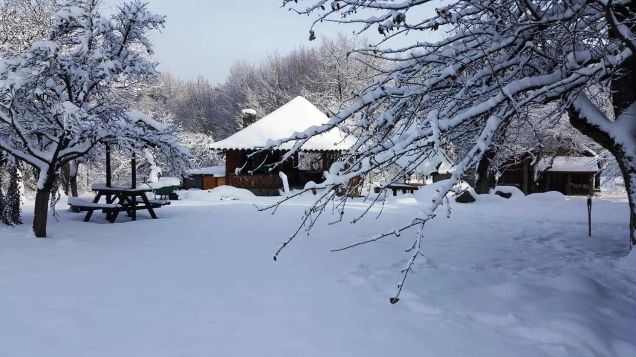 Casa Bunicului Vistisoara Exterior foto